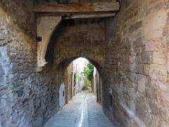 183 HYERES ET SES PALMIERS D13_000026